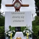 img_20260604_095221
