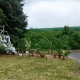 img_20260604_095829
