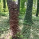 img_20250721_134308