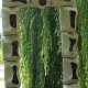 img_20250721_135022