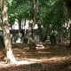 img_20250721_145724