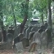 img_20250721_145805