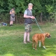 img_0352